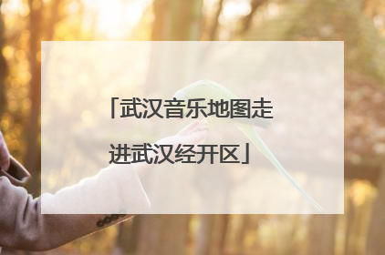 武汉音乐地图走进武汉经开区