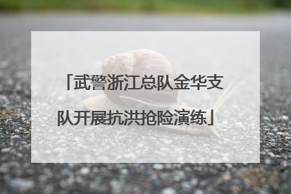 武警浙江总队金华支队开展抗洪抢险演练