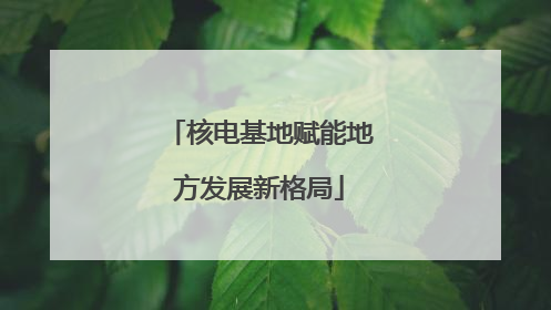 核电基地赋能地方发展新格局