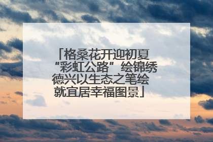 格桑花开迎初夏 “彩虹公路”绘锦绣 德兴以生态之笔绘就宜居幸福图景