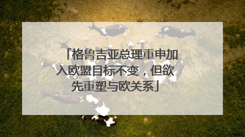 格鲁吉亚总理重申加入欧盟目标不变，但欲先重塑与欧关系