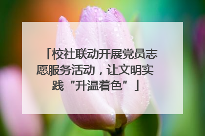 校社联动开展党员志愿服务活动，让文明实践“升温着色”