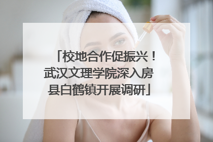 校地合作促振兴！武汉文理学院深入房县白鹤镇开展调研