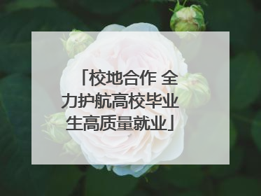 校地合作 全力护航高校毕业生高质量就业