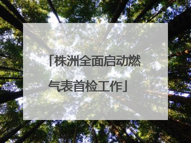 株洲全面启动燃气表首检工作