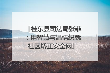 桂东县司法局张菲：用智慧与温情织就社区矫正安全网