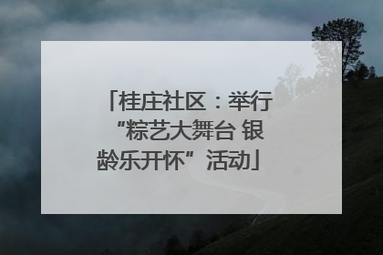 桂庄社区：举行“粽艺大舞台 银龄乐开怀”活动