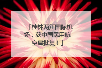 桂林两江国际机场，获中国民用航空局批复！