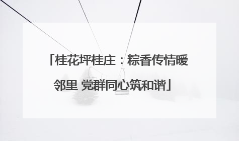 桂花坪桂庄：粽香传情暖邻里 党群同心筑和谐