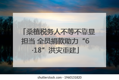 桑植税务人不等不靠显担当 全员捐款助力“6·18”洪灾重建