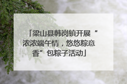 梁山县韩岗镇开展“浓浓端午情，悠悠粽意香”包粽子活动