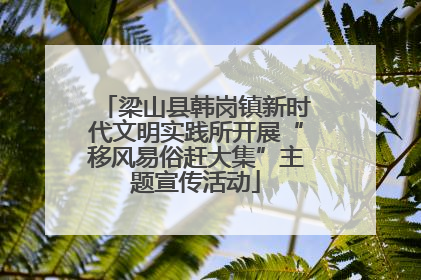 梁山县韩岗镇新时代文明实践所开展“移风易俗赶大集”主题宣传活动