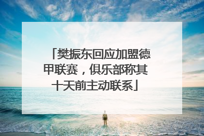 樊振东回应加盟德甲联赛，俱乐部称其十天前主动联系