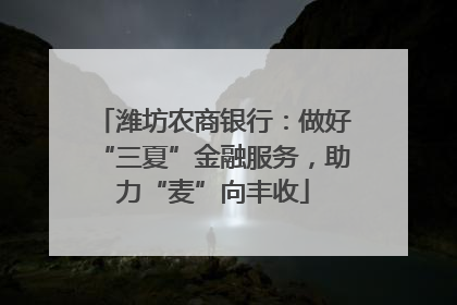 潍坊农商银行：做好“三夏”金融服务，助力“麦”向丰收