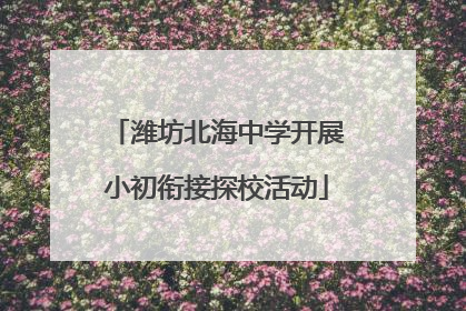 潍坊北海中学开展小初衔接探校活动