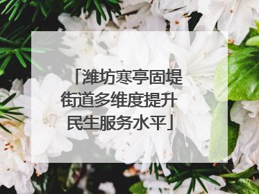 潍坊寒亭固堤街道多维度提升民生服务水平