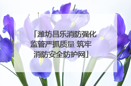 潍坊昌乐消防强化监管严抓质量 筑牢消防安全防护网