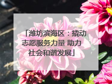 潍坊滨海区：撬动志愿服务力量 助力社会和谐发展