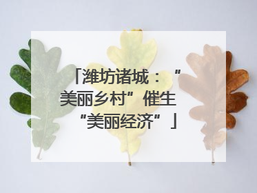 潍坊诸城：“美丽乡村”催生“美丽经济”