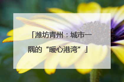潍坊青州：城市一隅的“暖心港湾”