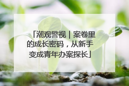 潮观警视｜案卷里的成长密码，从新手变成青年办案探长