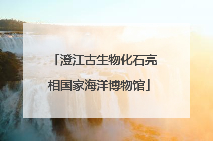 澄江古生物化石亮相国家海洋博物馆