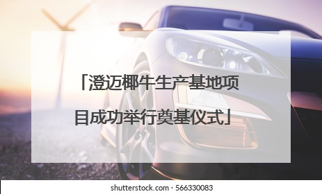 澄迈椰牛生产基地项目成功举行奠基仪式