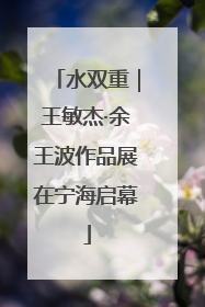 水双重｜王敏杰·余王波作品展在宁海启幕
