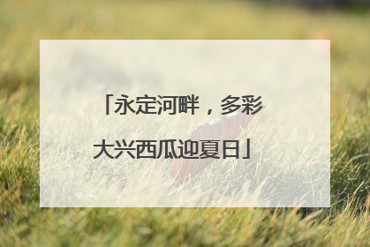 永定河畔，多彩大兴西瓜迎夏日
