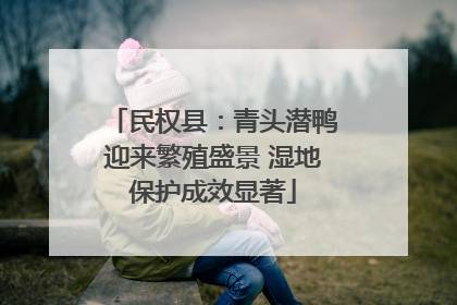 民权县：青头潜鸭迎来繁殖盛景 湿地保护成效显著