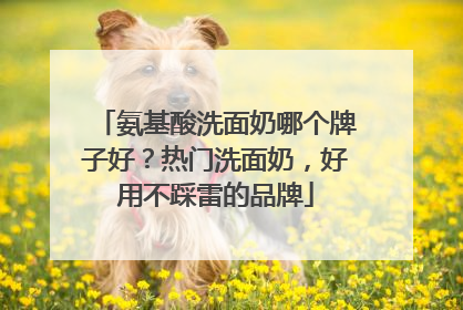 氨基酸洗面奶哪个牌子好？热门洗面奶，好用不踩雷的品牌