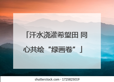 汗水浇灌希望田 同心共绘“绿画卷”