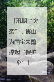 汛期“突袭”，崀山为国宝朱鹮撑起“保护伞”