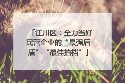 江川区：全力当好民营企业的“最强后盾”“最佳拍档”