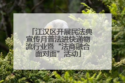 江汉区开展民法典宣传月普法进快递物流行业暨“法商融合面对面”活动