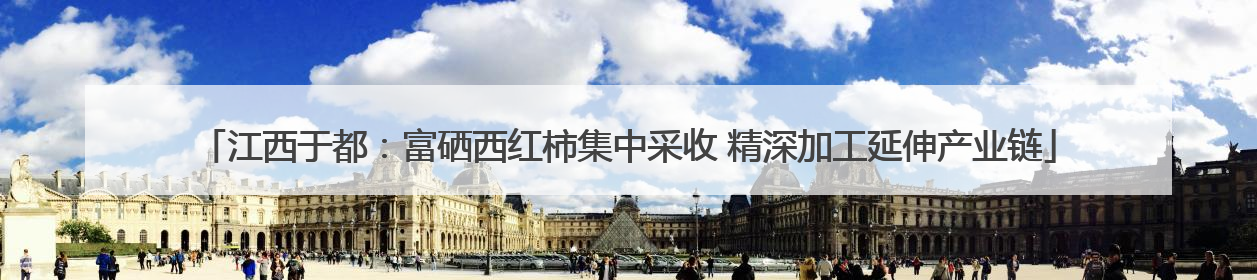 江西于都：富硒西红柿集中采收 精深加工延伸产业链