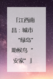 江西南昌：城市“绿岛”助候鸟“安家”