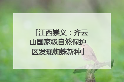 江西崇义：齐云山国家级自然保护区发现蜘蛛新种