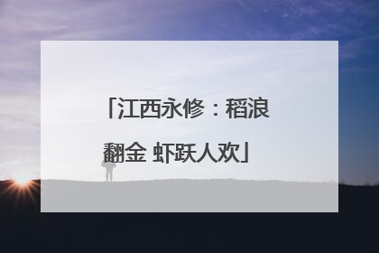 江西永修：稻浪翻金 虾跃人欢