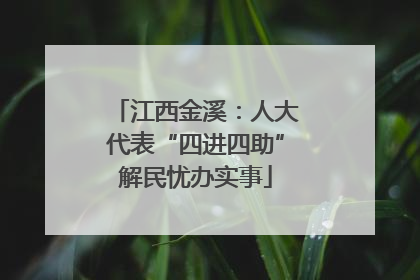 江西金溪：人大代表“四进四助”解民忧办实事