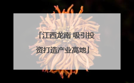江西龙南 吸引投资打造产业高地