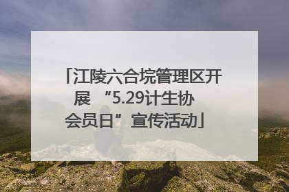 江陵六合垸管理区开展 “5.29计生协会员日”宣传活动