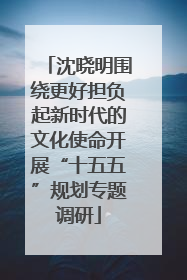 沈晓明围绕更好担负起新时代的文化使命开展“十五五”规划专题调研
