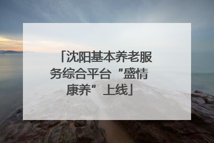 沈阳基本养老服务综合平台“盛情康养”上线