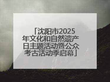 沈阳市2025年文化和自然遗产日主题活动暨公众考古活动季启幕
