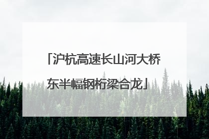 沪杭高速长山河大桥东半幅钢桁梁合龙
