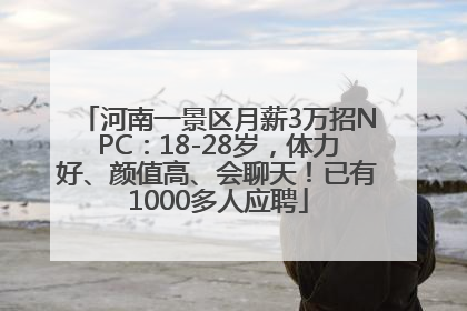 河南一景区月薪3万招NPC：18-28岁，体力好、颜值高、会聊天！已有1000多人应聘