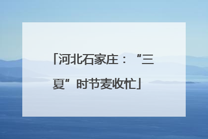 河北石家庄：“三夏”时节麦收忙