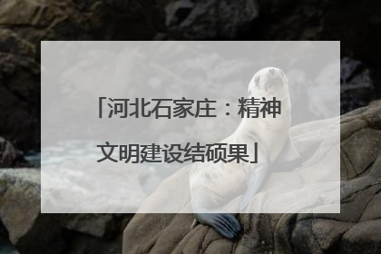河北石家庄：精神文明建设结硕果