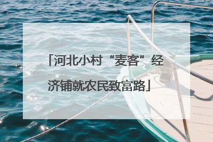 河北小村“麦客”经济铺就农民致富路